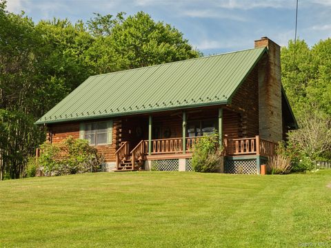 Photo of 129 Elk Point Road, Livingston Manor, NY 12758 (MLS # 1017752)