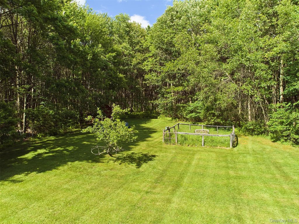 Photo of 129 Elk Point Road, Livingston Manor, NY 12758 (MLS # 1017752)