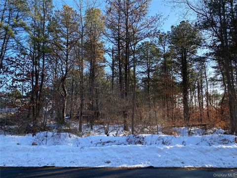 Vacant Land For Sale - Agamemnon Avenue<br/> Bellport, NY 11713