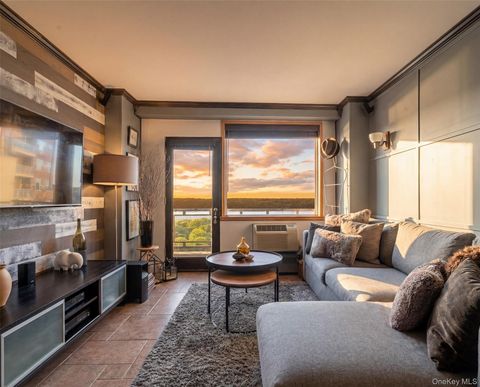 5800 Arlington Avenue 20L Bronx NY 10471