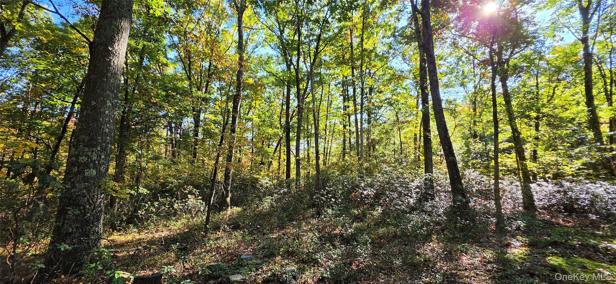 Lot #86 Perry Pond Road