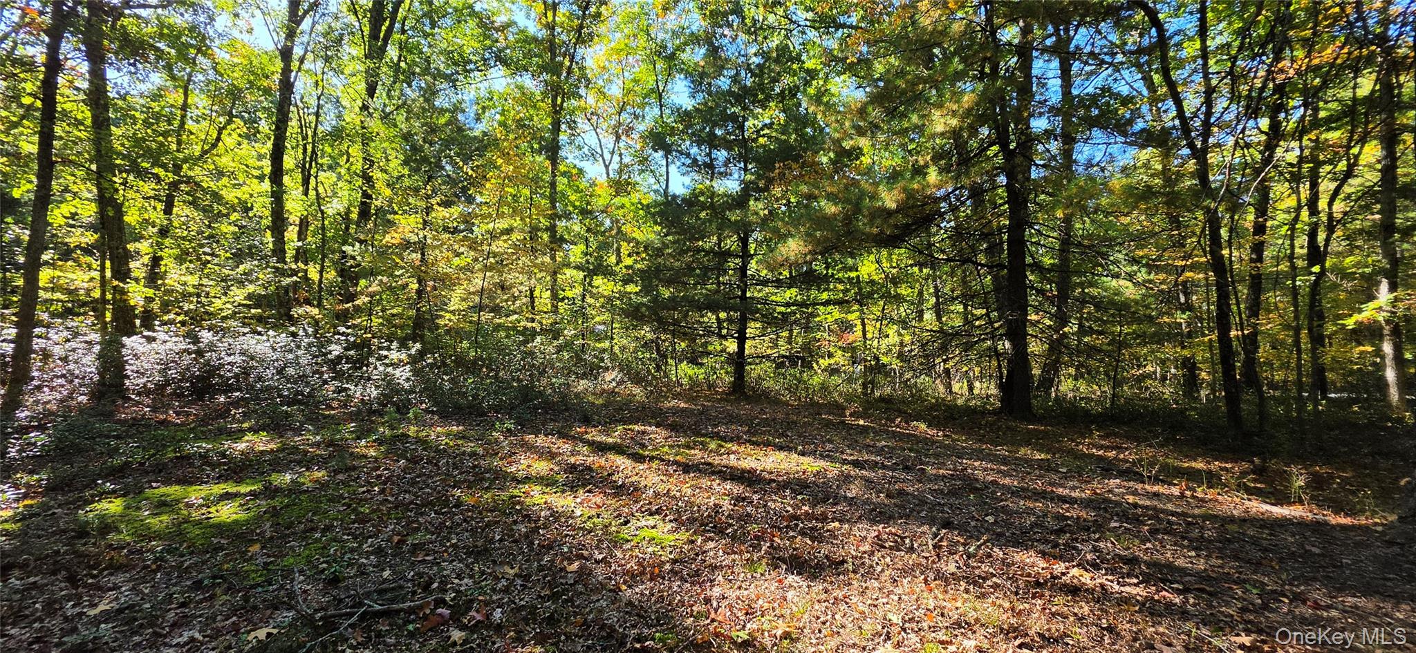 Lot #86 Perry Pond Road