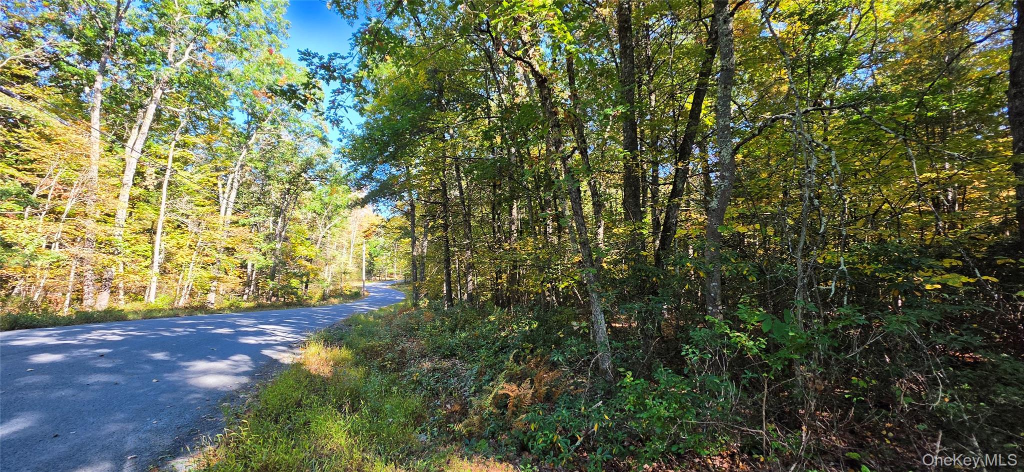 Lot #86 Perry Pond Road