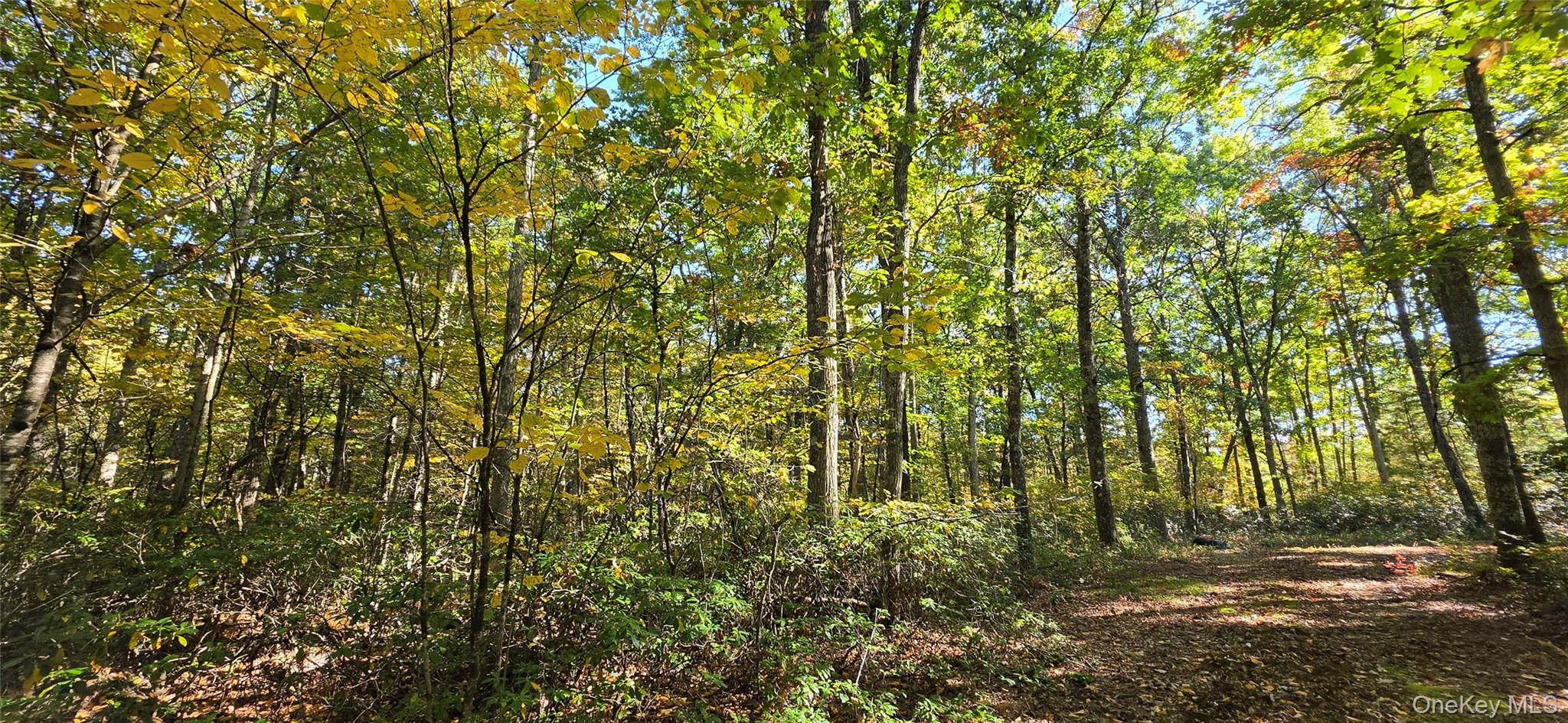 Lot #86 Perry Pond Road