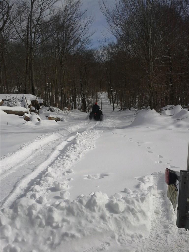 Shandelee Road, Livingston Manor, New York image 4