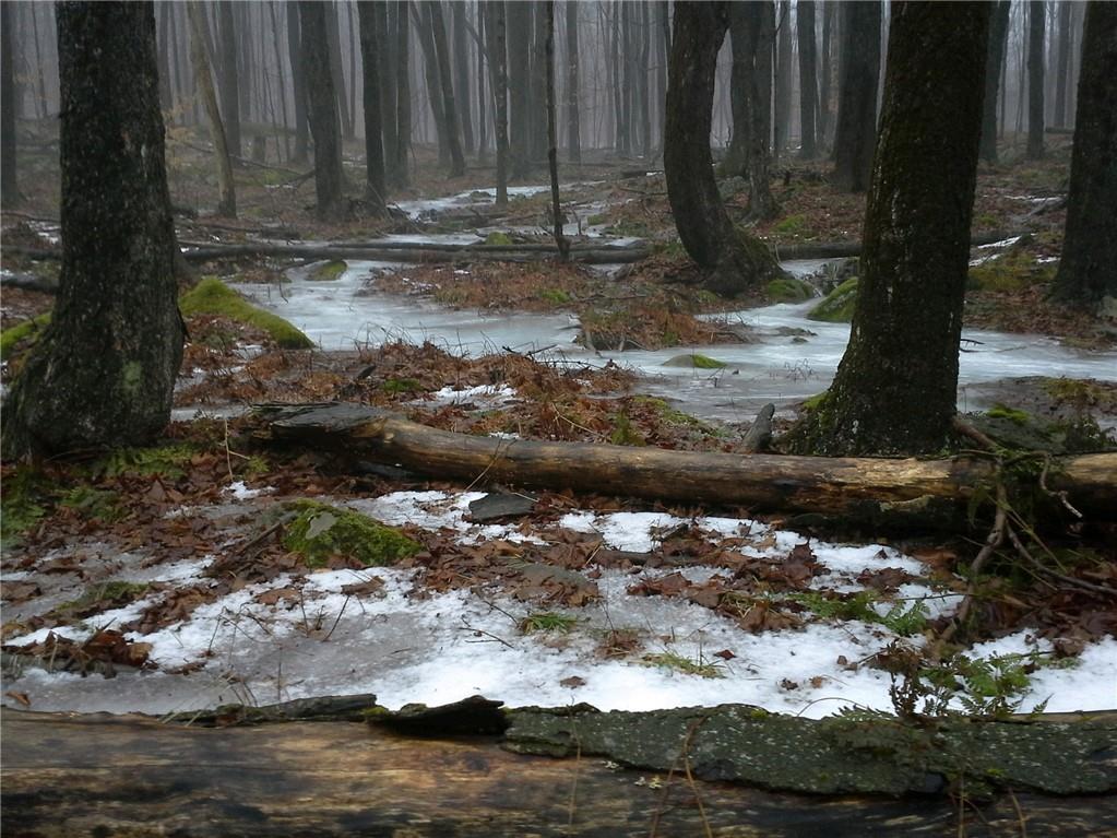 Shandelee Road, Livingston Manor, New York image 3