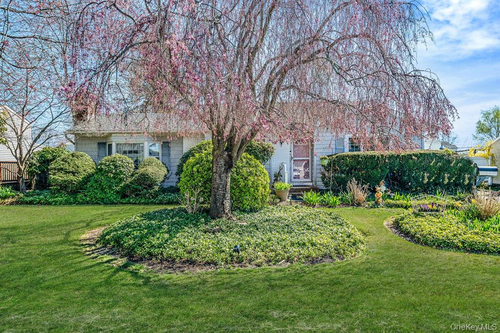 289 W 17th Street