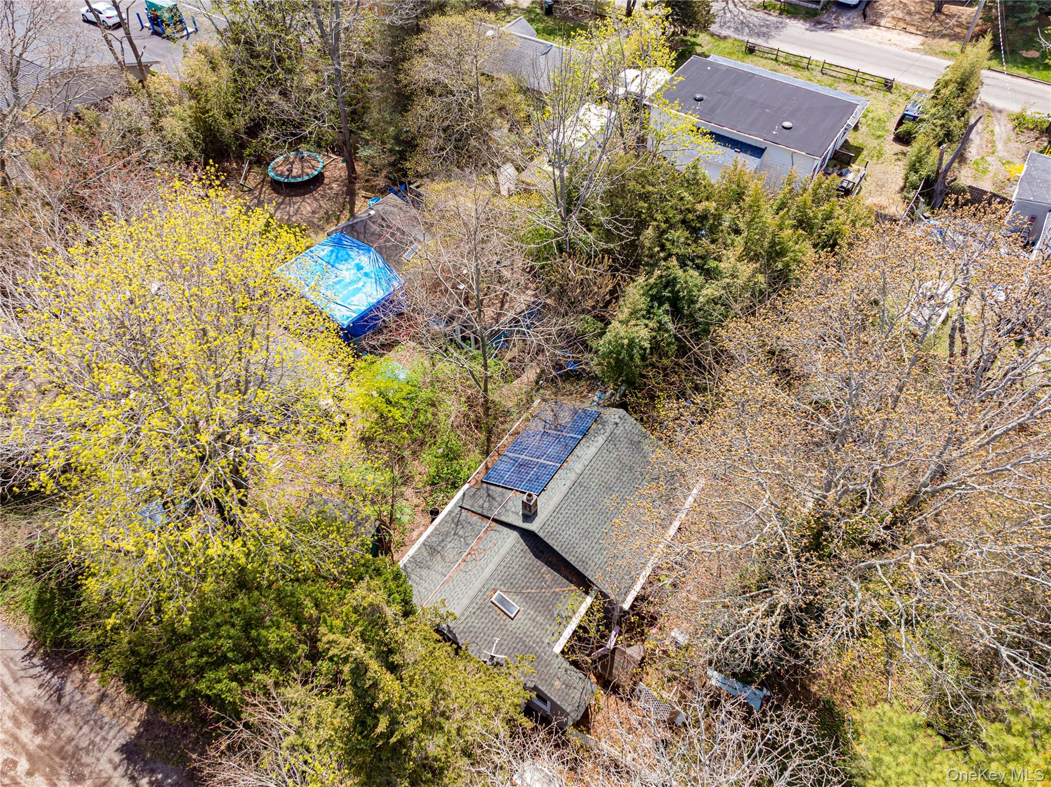 33 Locust Avenue 33 & 29