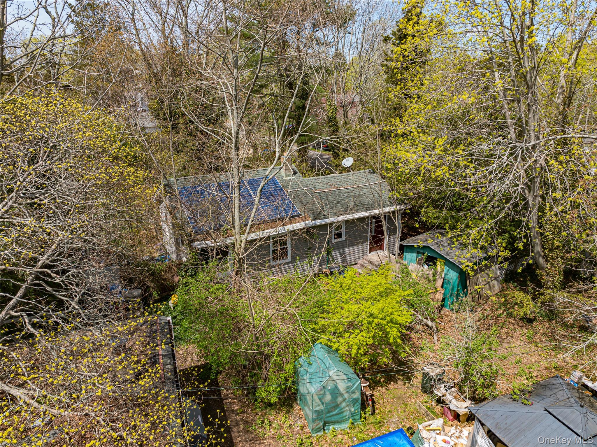 33 Locust Avenue 33 & 29