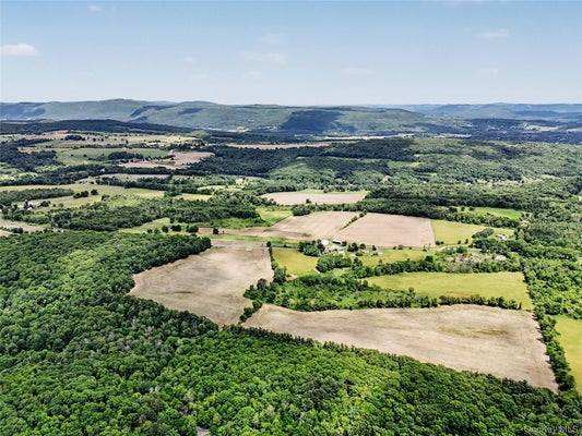 317 SKUNKS MISERY RD, MILLERTON, NY 12546 - Image 5786fc85367b2dba8189f73fbc33f039/3512591970
