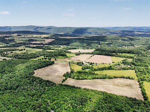 Vacant Land For Sale - 317 Skunks Misery Road<br/> Millerton, NY 12546