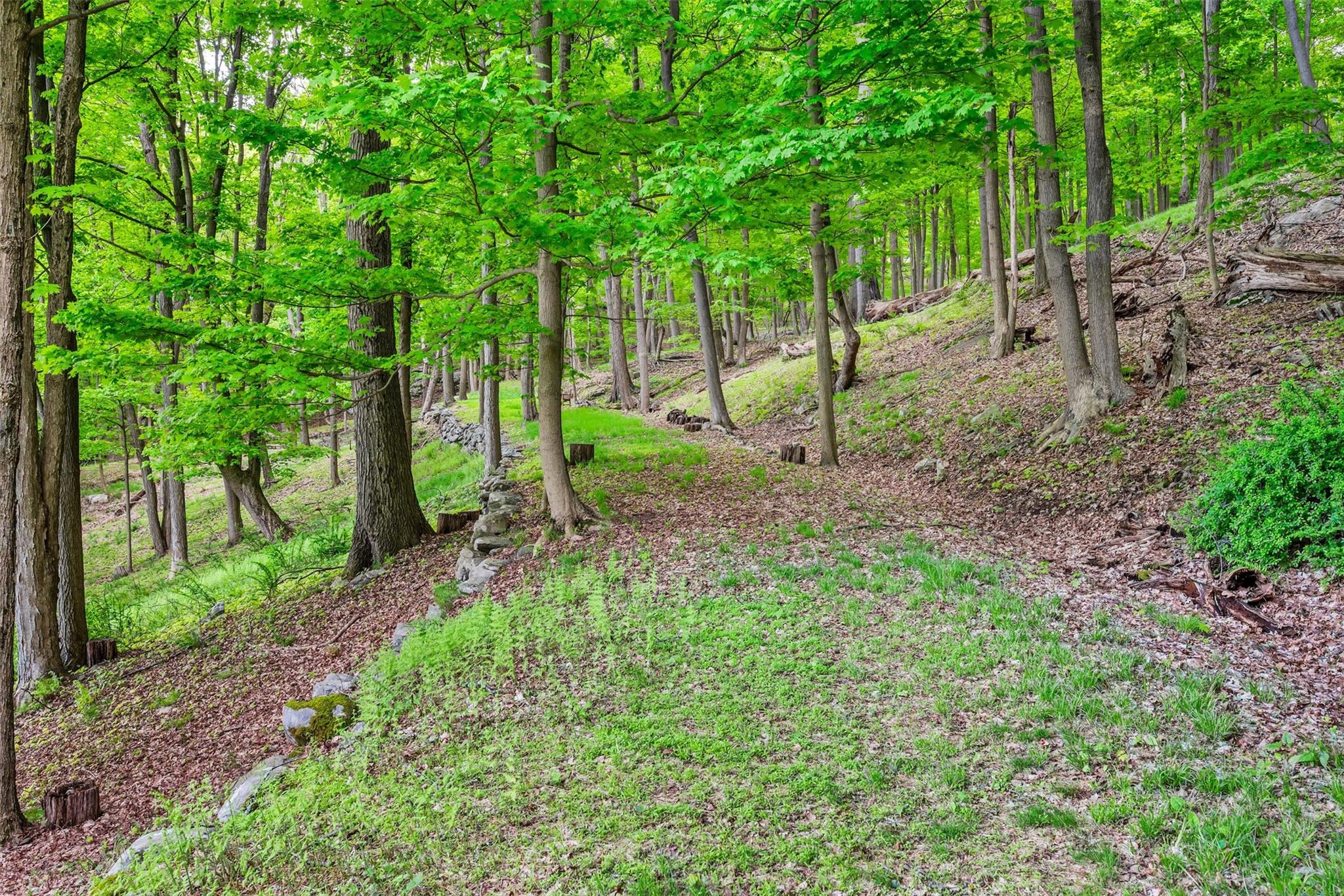 5 Bellwood Lane, Cornwall On Hudson, New York image 11
