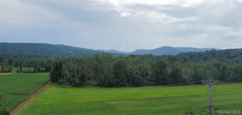 Photo of 319 Blue Hill Road, Hopewell Junction, NY 12533 (MLS # 1019314)