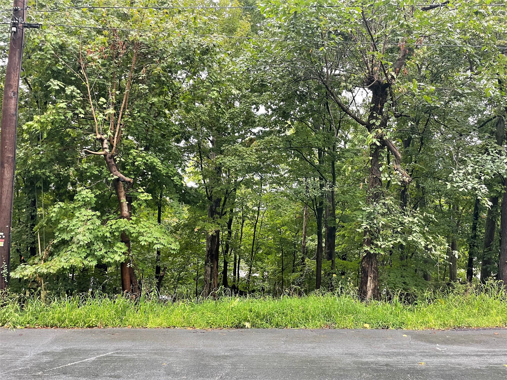 11 Olympus Road, Woodbury, New York image 2
