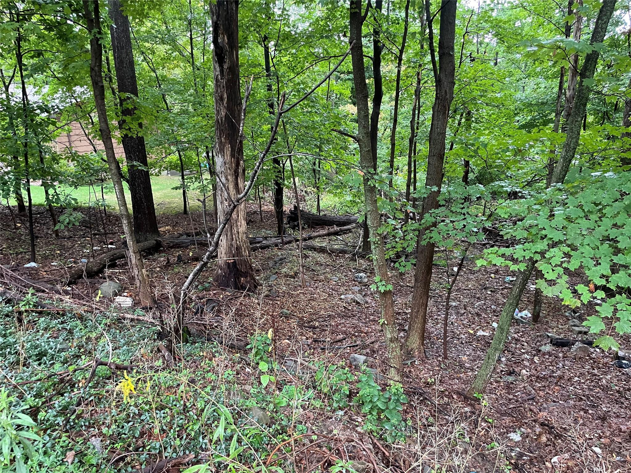 11 Olympus Road, Woodbury, New York image 4