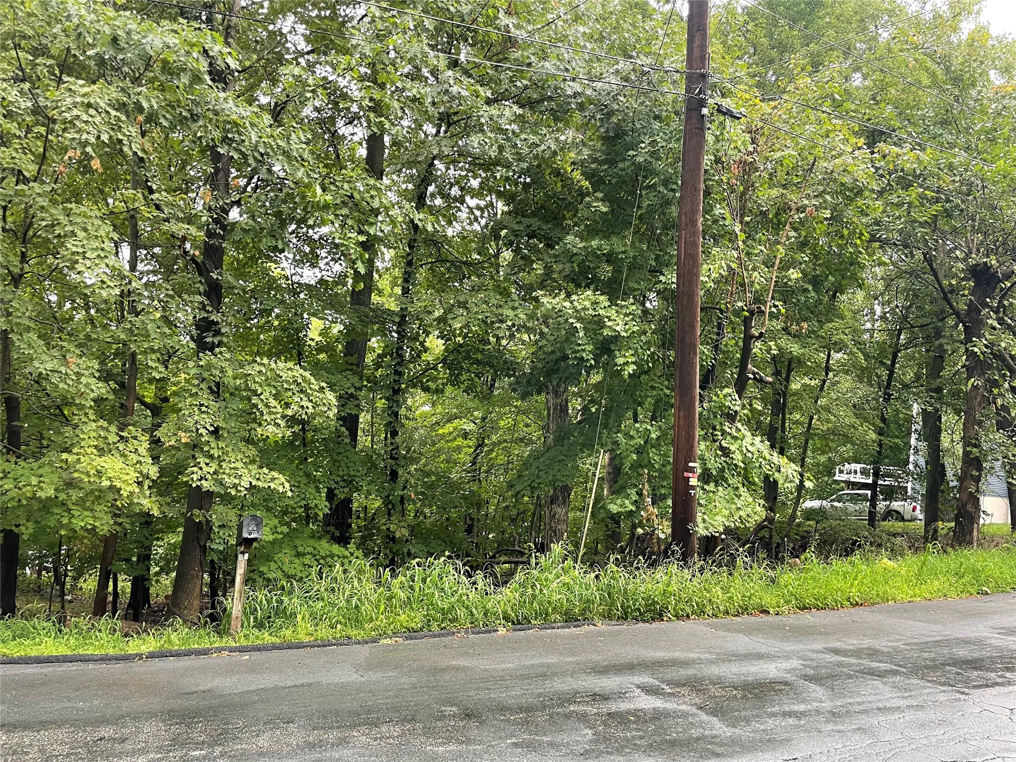 11 Olympus Road, Woodbury, New York image 3