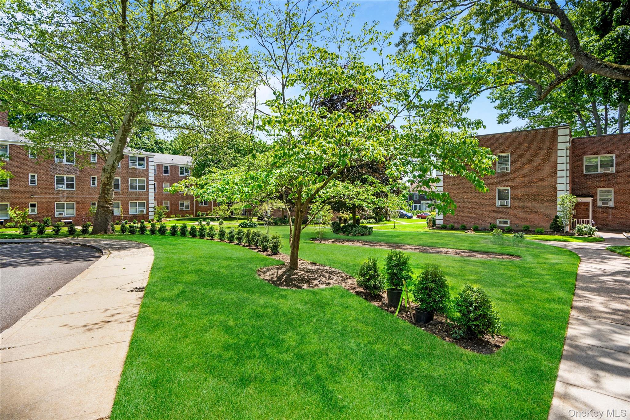 1 Edwards Street 2D