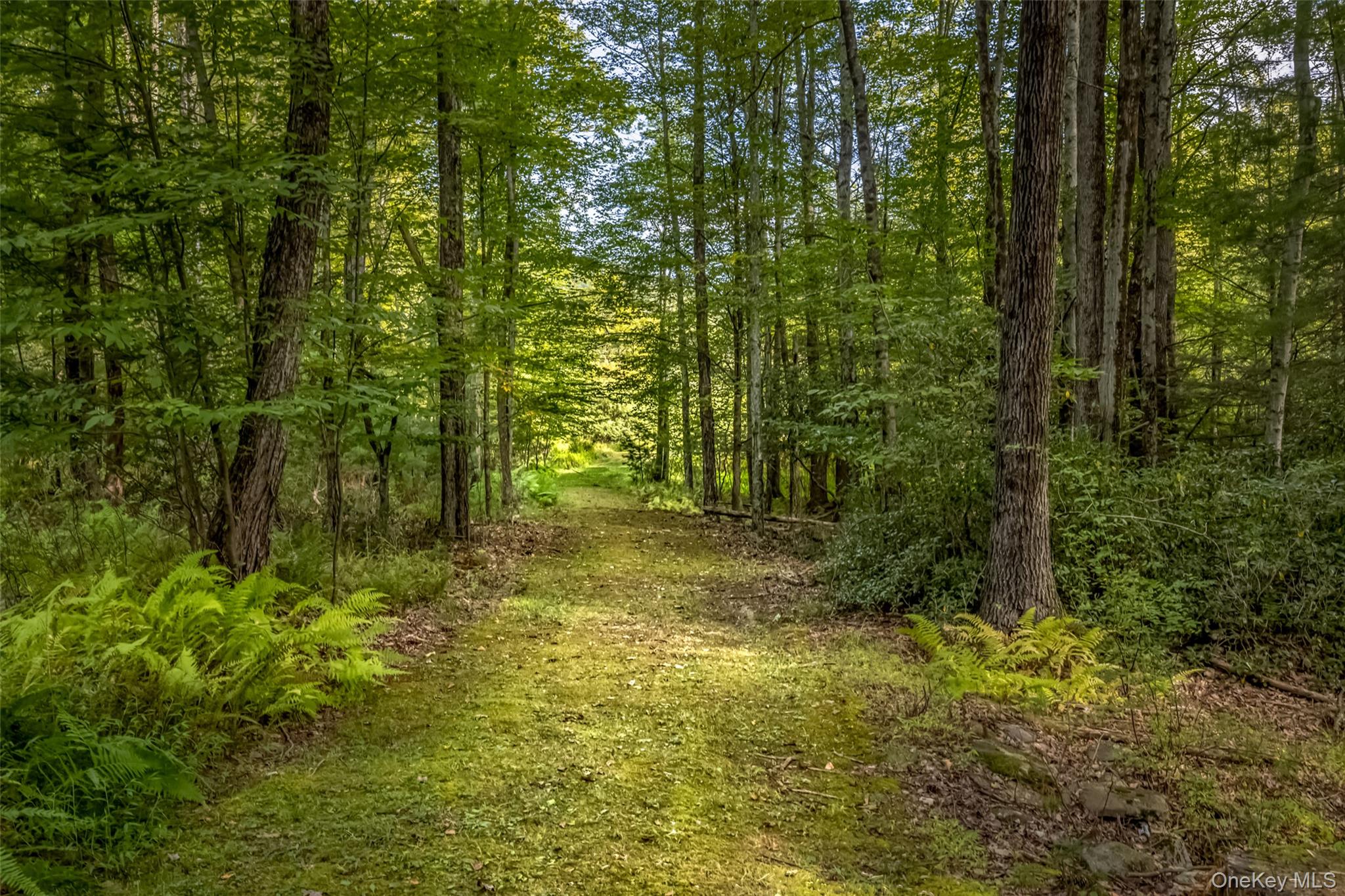 101 Lackawack Hill Road