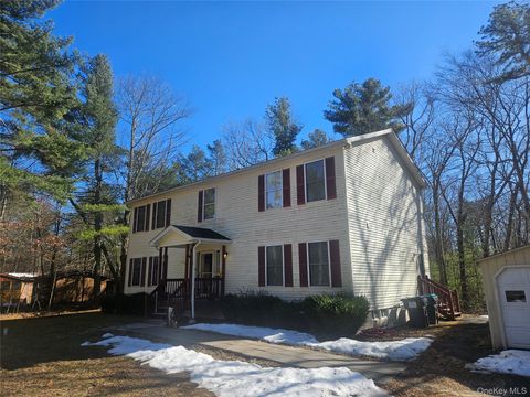 Homes For Sale - 65 W Peenpack Trail<br/> Sparrowbush, NY 12780