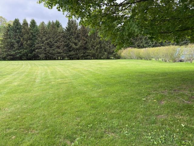 Finkle Road, Pine Plains, New York image 9