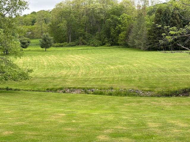 Finkle Road, Pine Plains, New York image 11