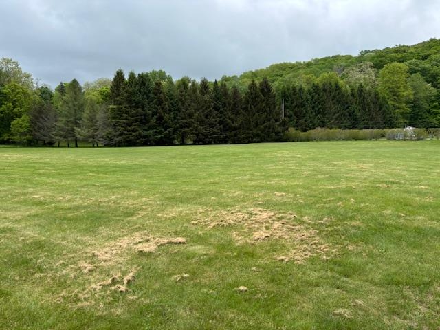 Finkle Road, Pine Plains, New York image 2