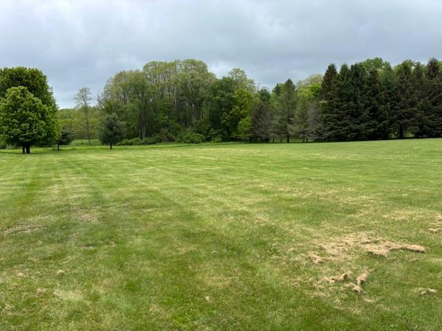 Finkle Road, Pine Plains, New York image 1