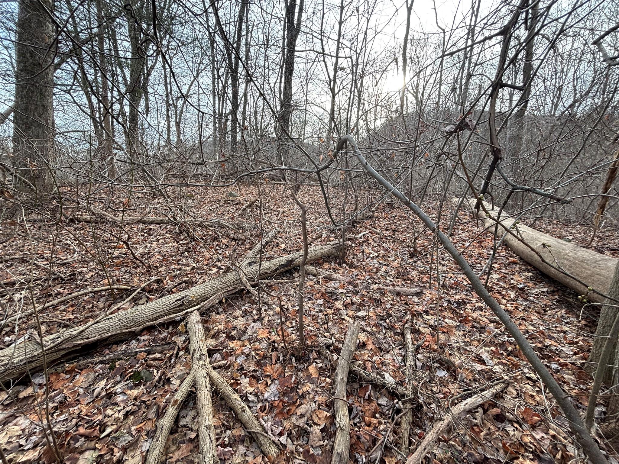 302 Union Center Road, Esopus, New York image 4
