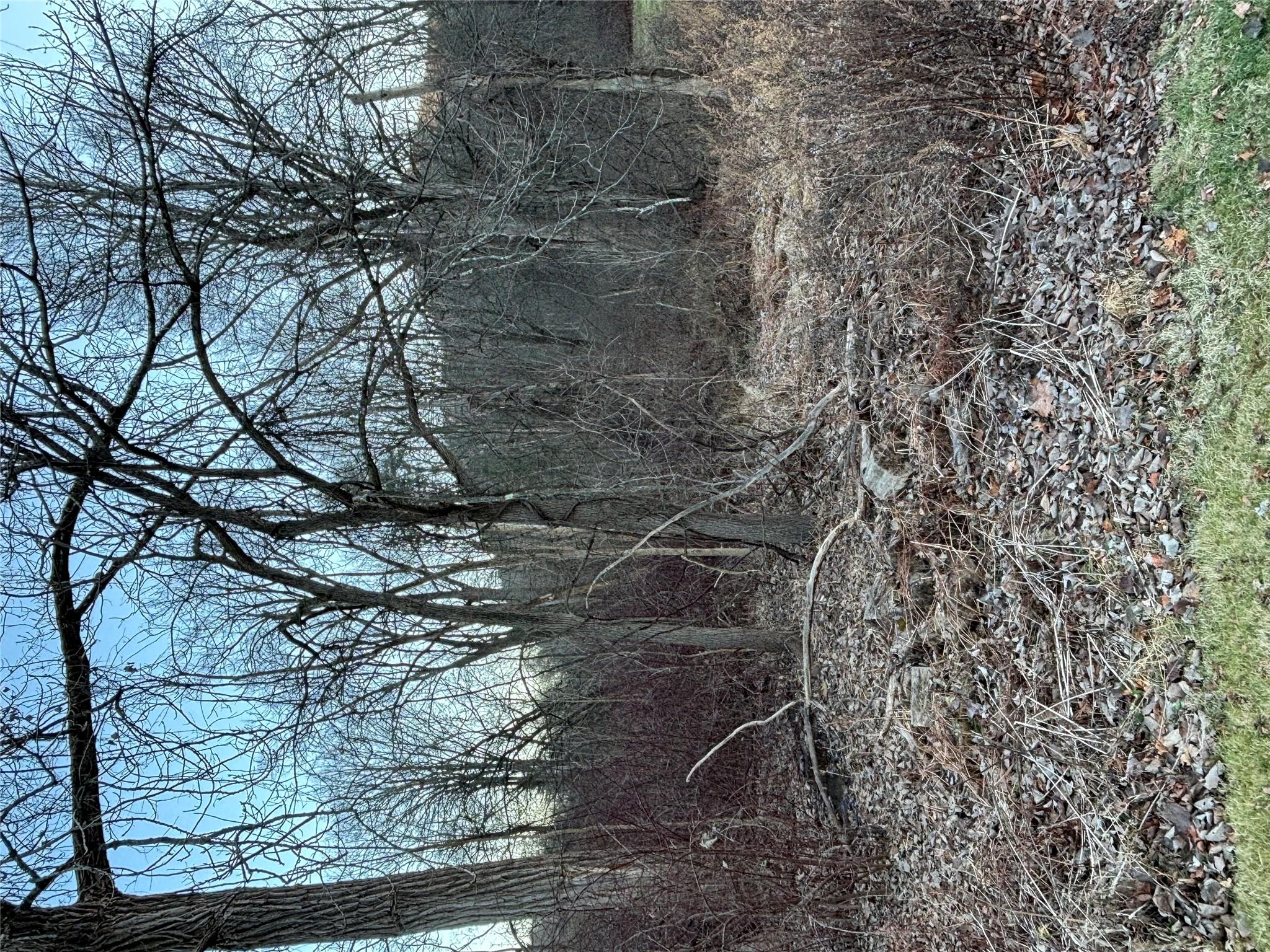 302 Union Center Road, Esopus, New York image 5