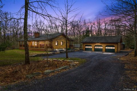 563 Peenpack Trail Sparrowbush NY 12780