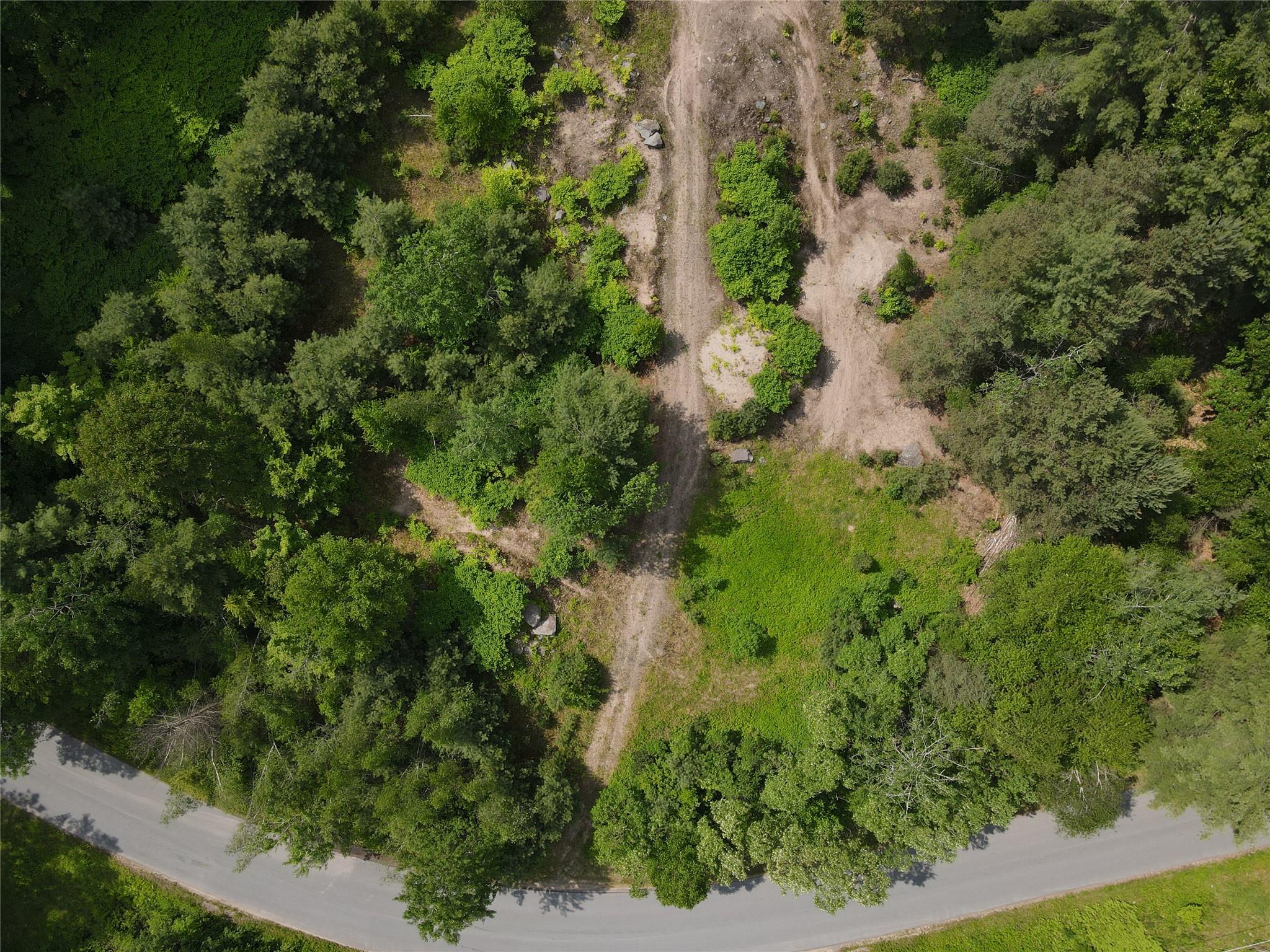 Gale Road, Mongaup Valley, New York image 9