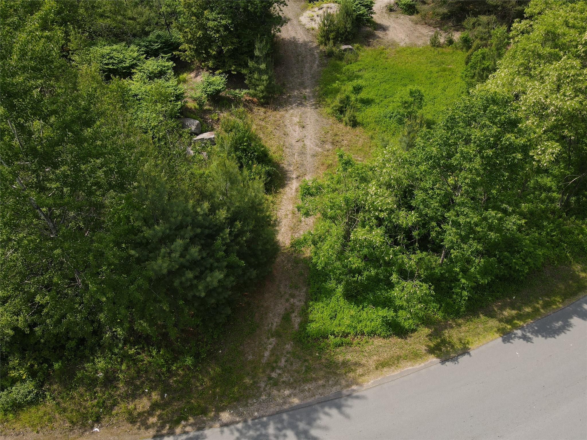 Gale Road, Mongaup Valley, New York image 7