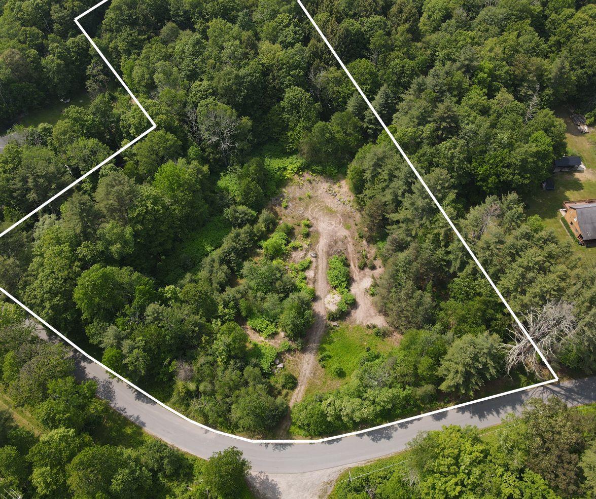 Gale Road, Mongaup Valley, New York image 1