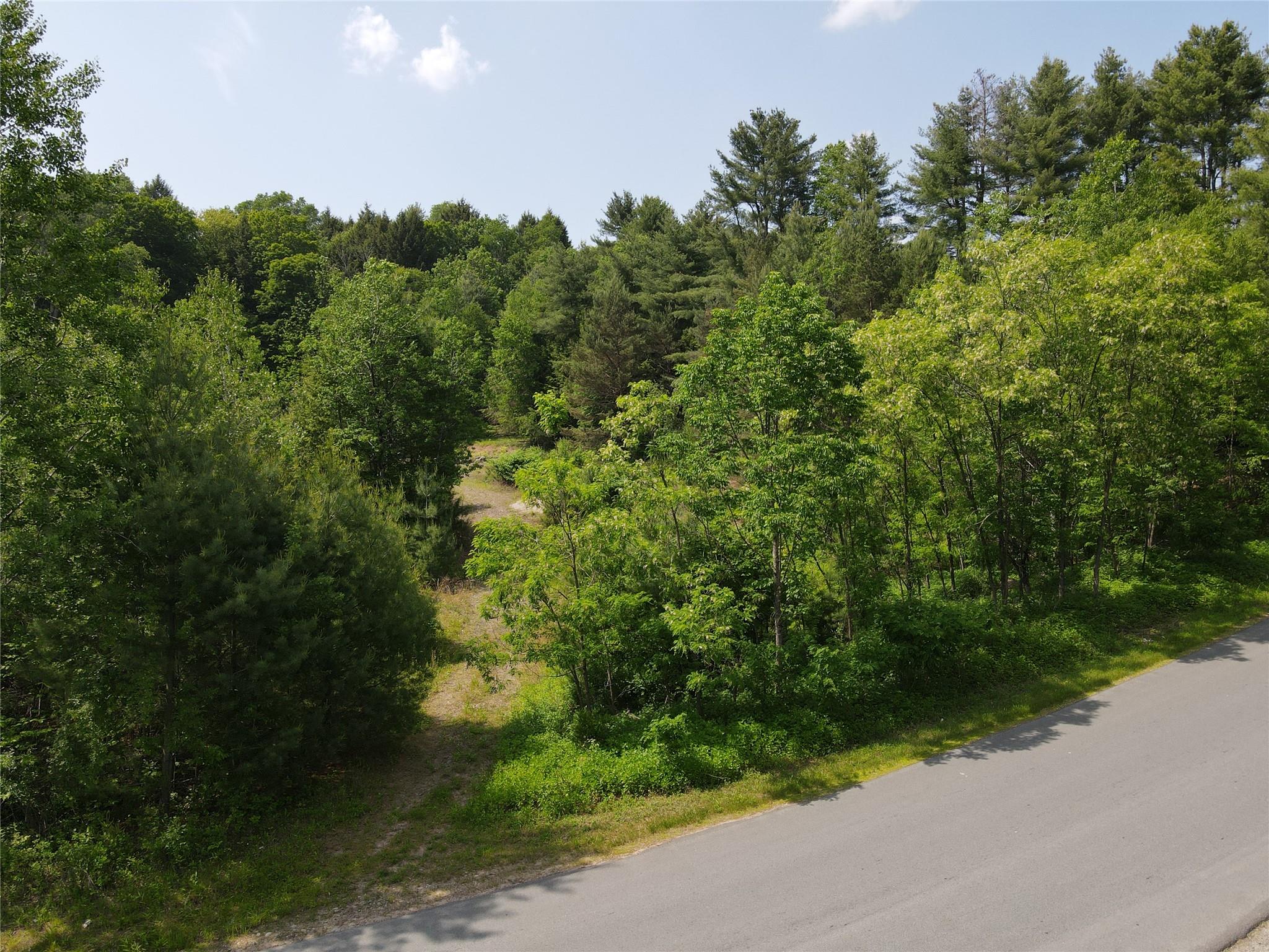 Gale Road, Mongaup Valley, New York image 3