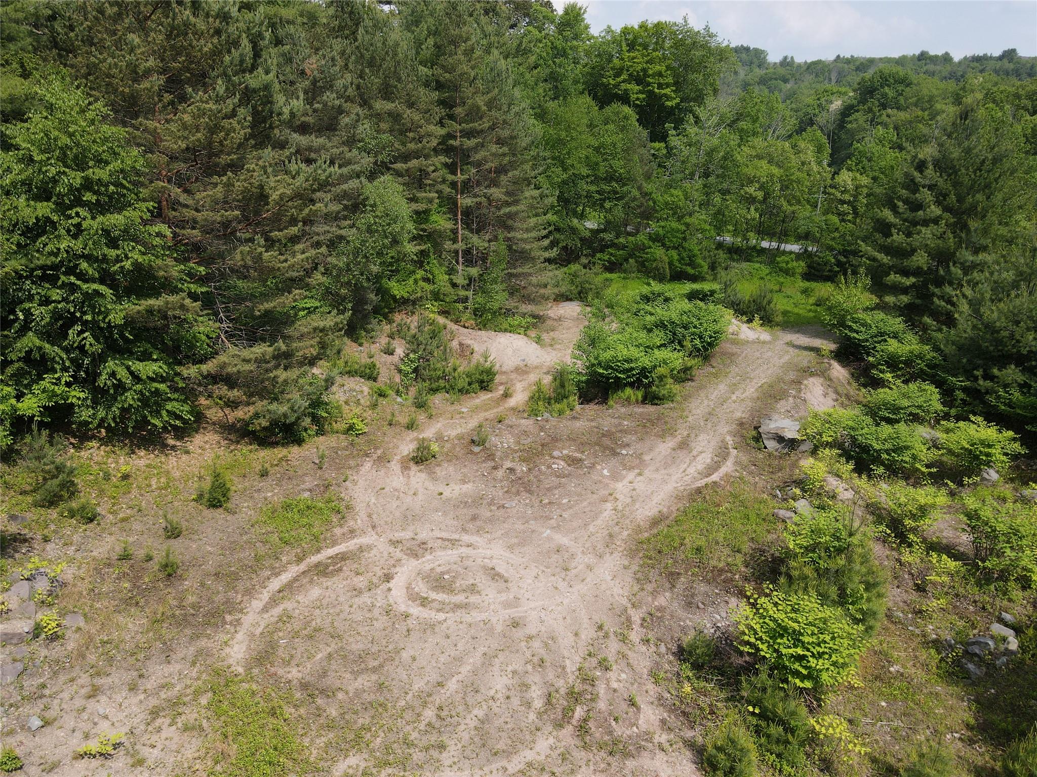 Gale Road, Mongaup Valley, New York image 8