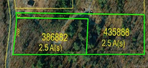 Vacant Land For Sale - Mount Ross<br/> Pine Plains, NY 12567