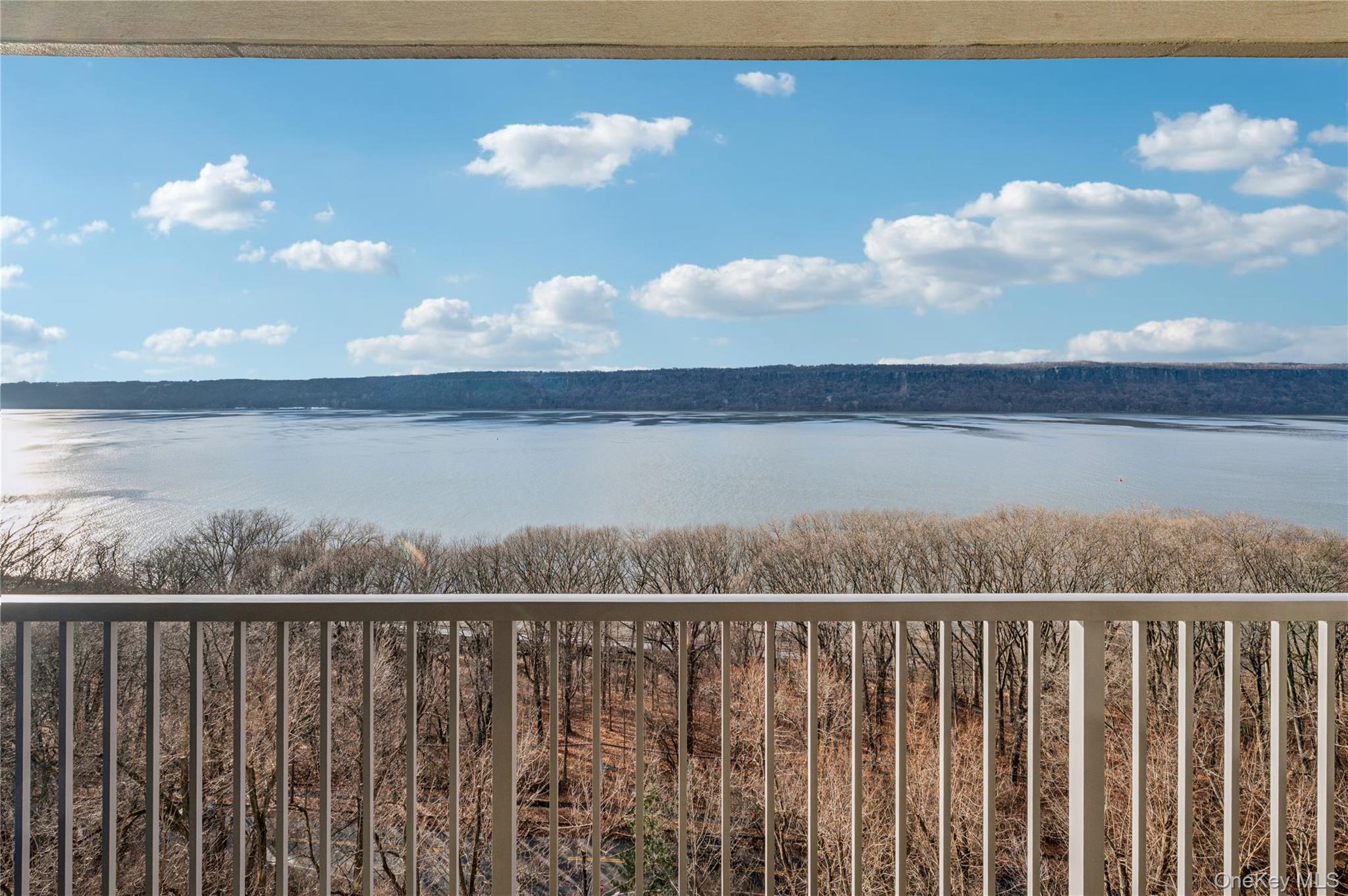 4455 Douglas Avenue 12F