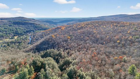 79 Taylor Road Claryville NY 12725