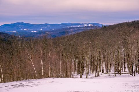 Tiny photo for 890 Bald Mountain Road, Austerlitz, NY 12017 (MLS # 948729)