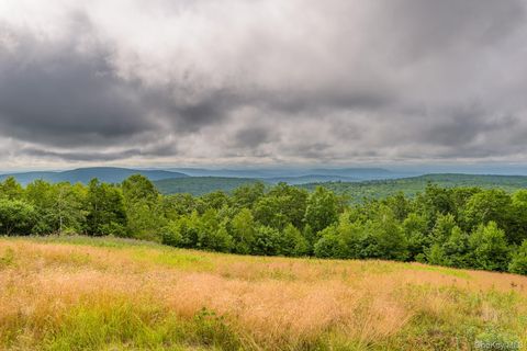 Tiny photo for 890 Bald Mountain Road, Austerlitz, NY 12017 (MLS # 948729)