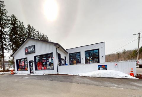 4 Bona Ventura Avenue Wallkill NY 12589