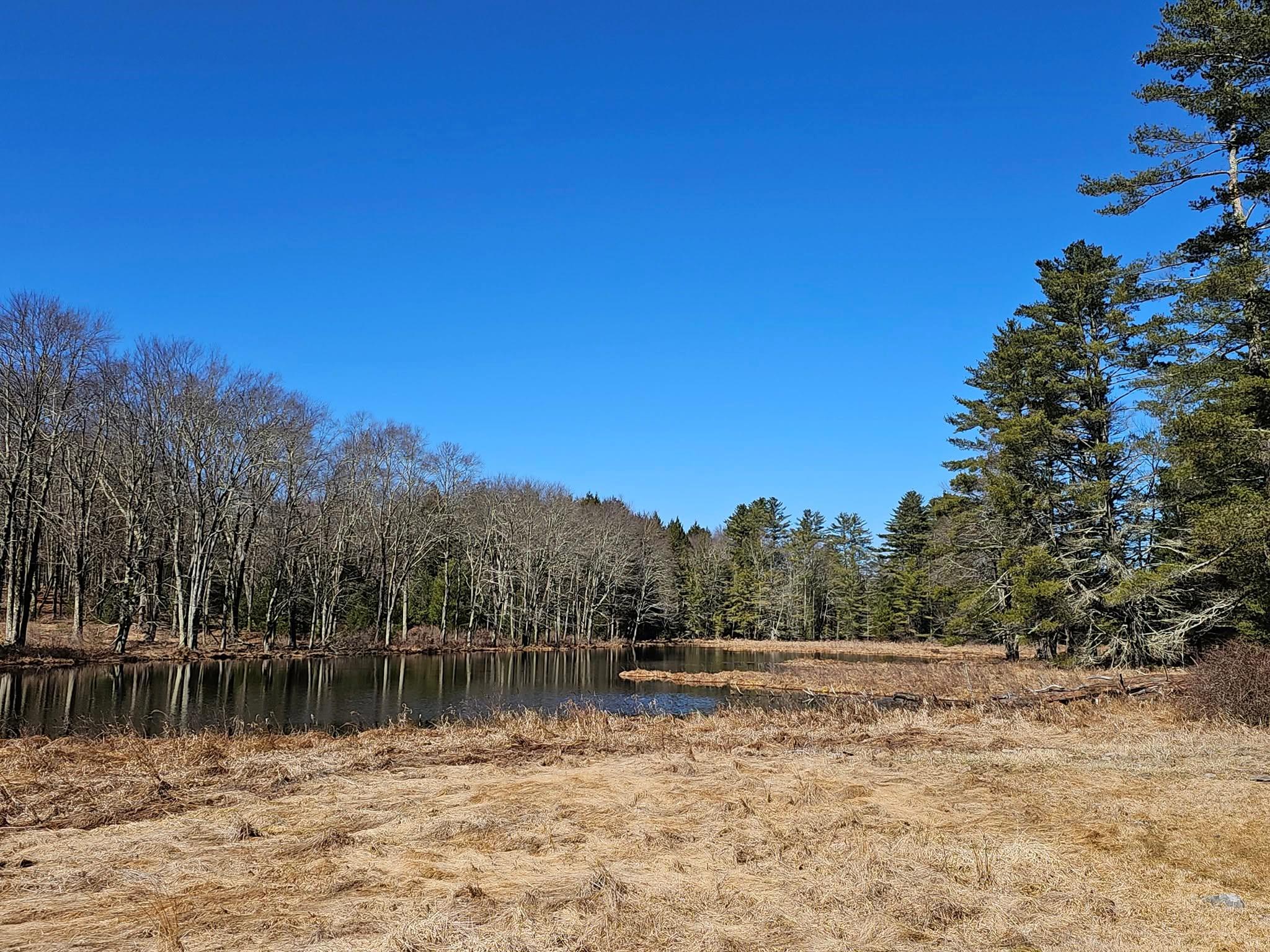 8 W Kieferle Road, Eldred, New York image 6