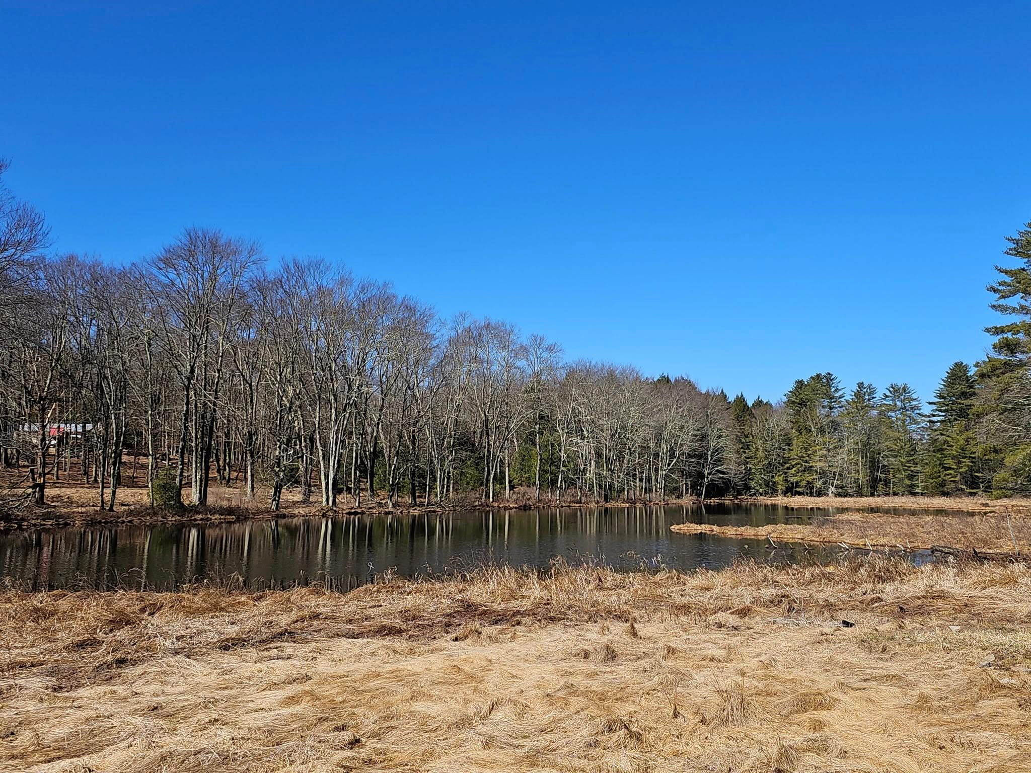 8 W Kieferle Road, Eldred, New York image 5