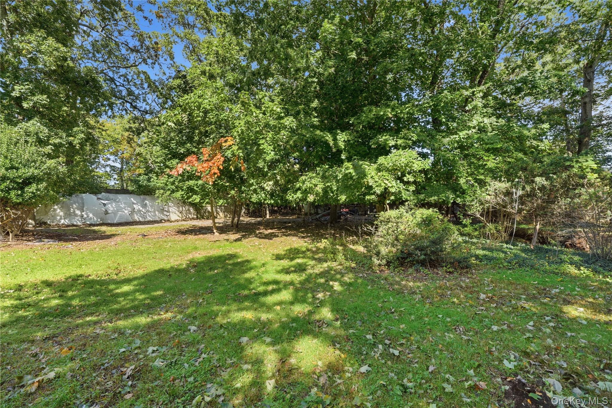 31 Woodland Drive