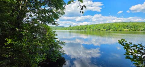 Vacant Land For Sale - Shore Rd<br/> Swan Lake, NY 12783