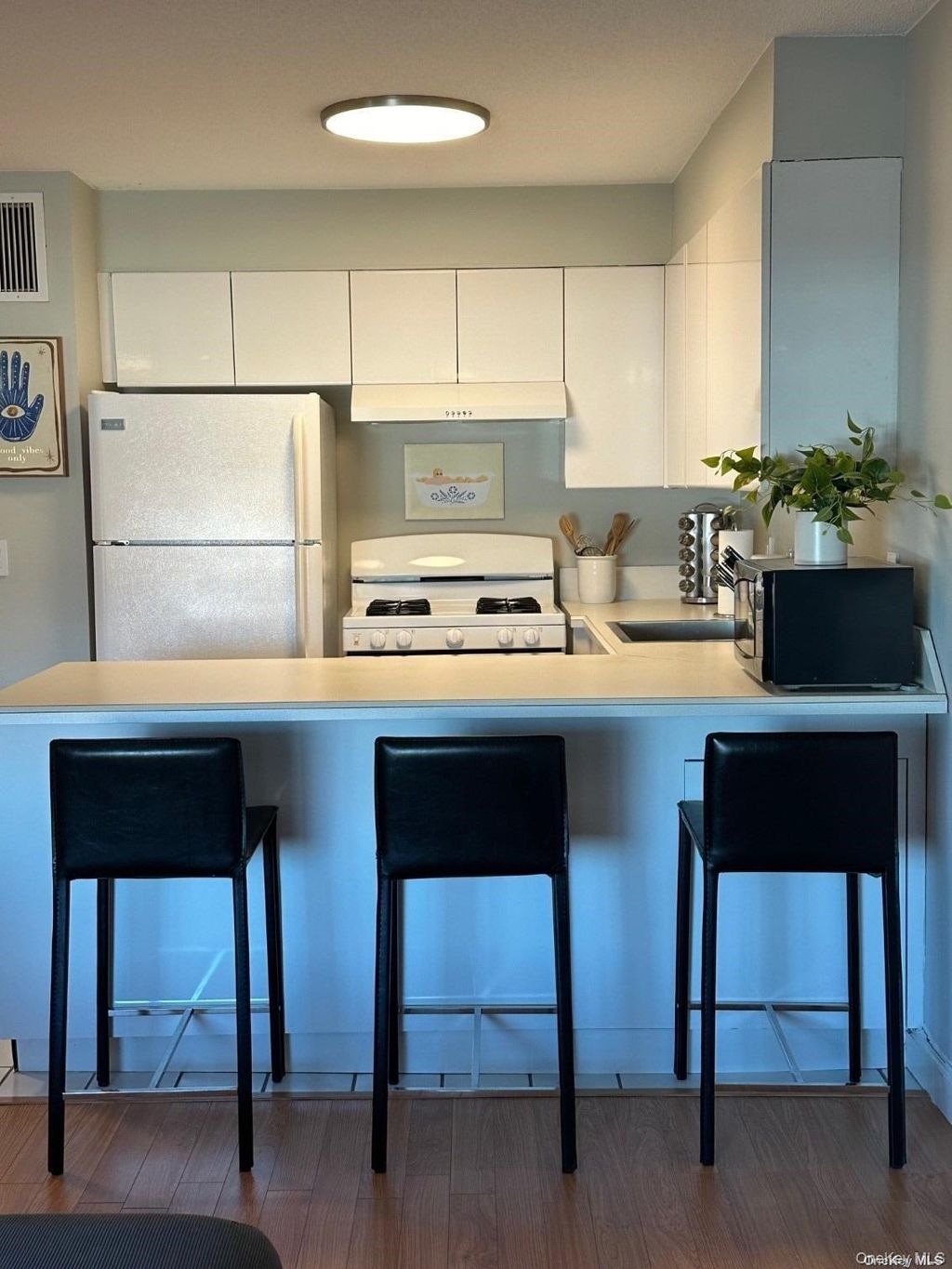 Photo of 170 W Broadway Street W #3I, Long Beach, NY 11561 (MLS # 966082)