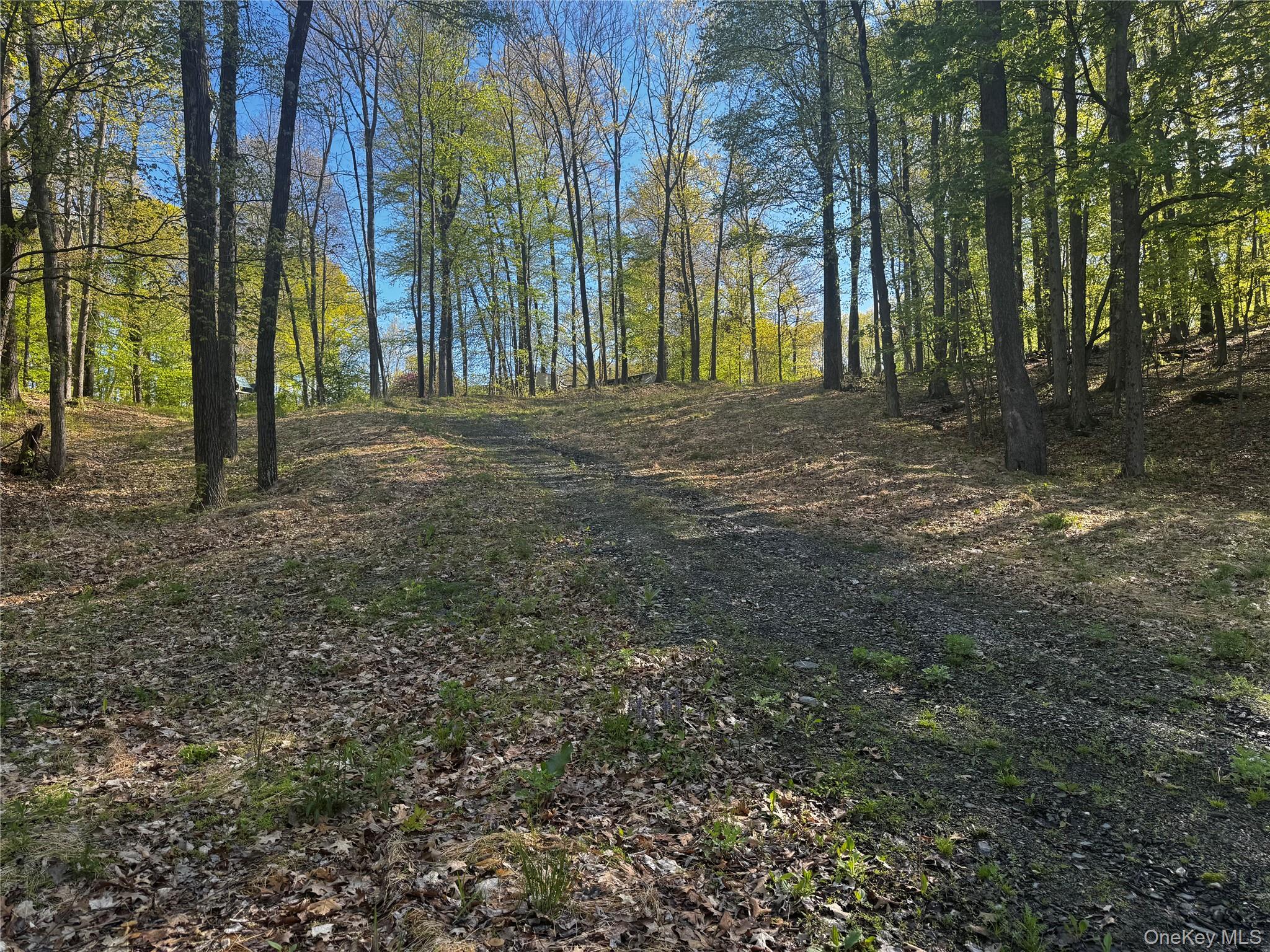 Hall Hill Road