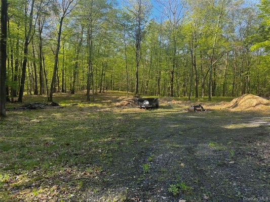 HALL HILL ROAD, ANCRAM, NY 12502 - Image 598343955b23e4e4dca4cb9c96d1c3d8/1966179298
