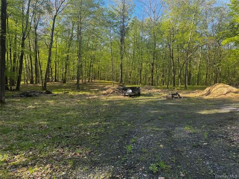 Hall Hill Road Ancram NY 12502