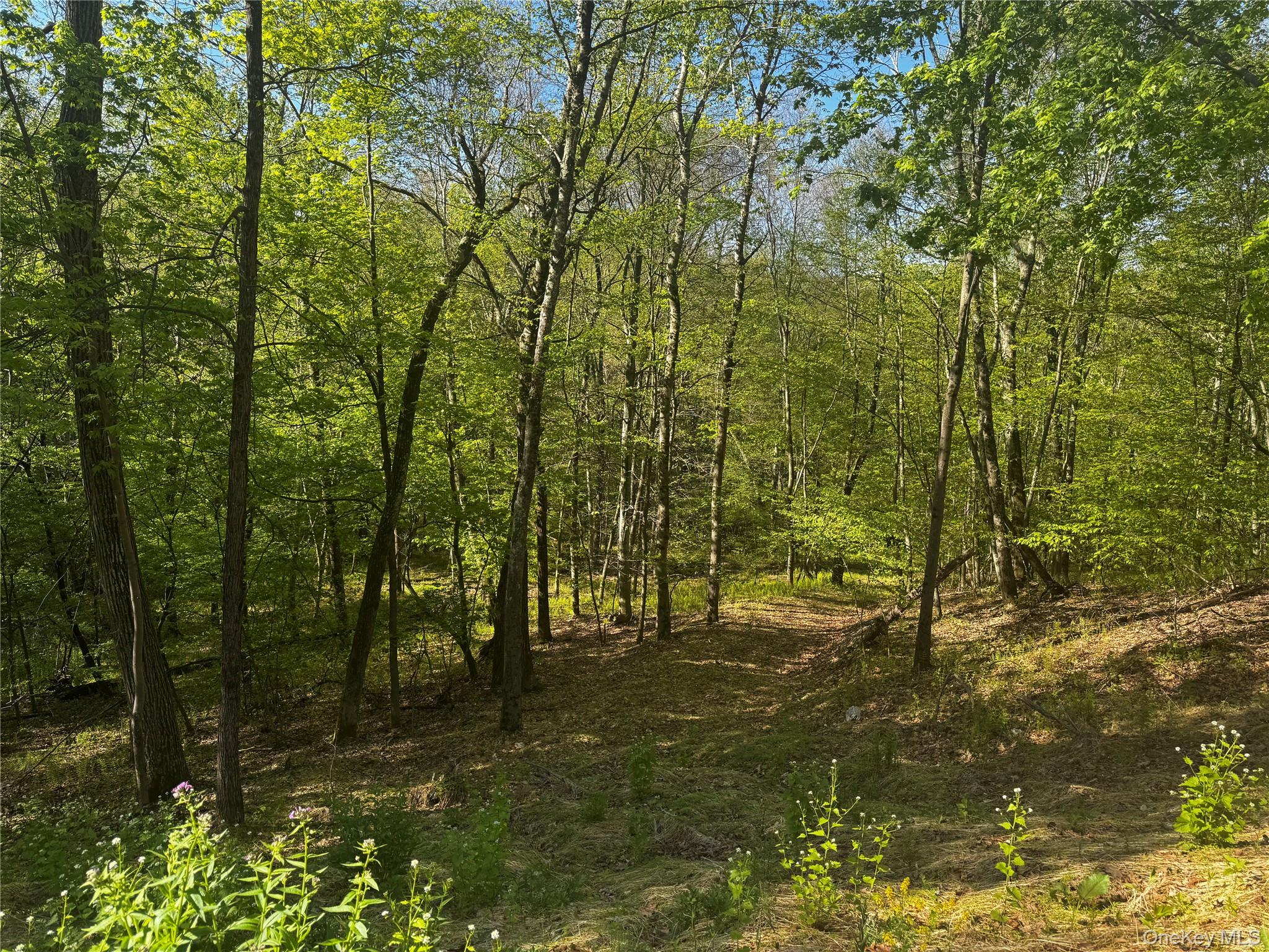 Hall Hill Road